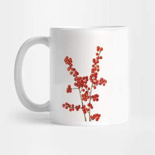 Winterberry - Botanical Illustration Mug